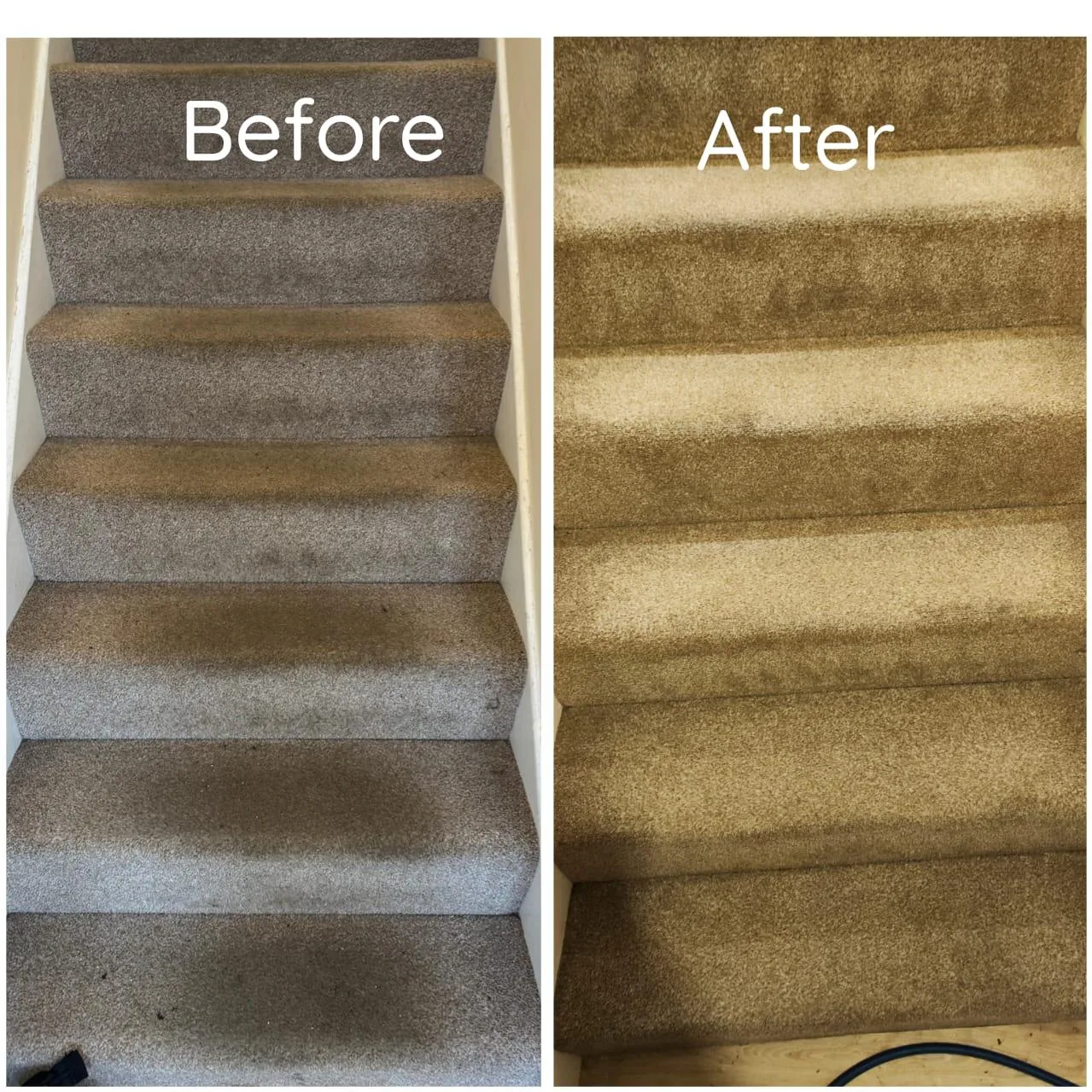 Steam Carpet Cleaning Portsmouth- OnCleaning Steam Carpet Cleaning Portsmouth- OnCleaning