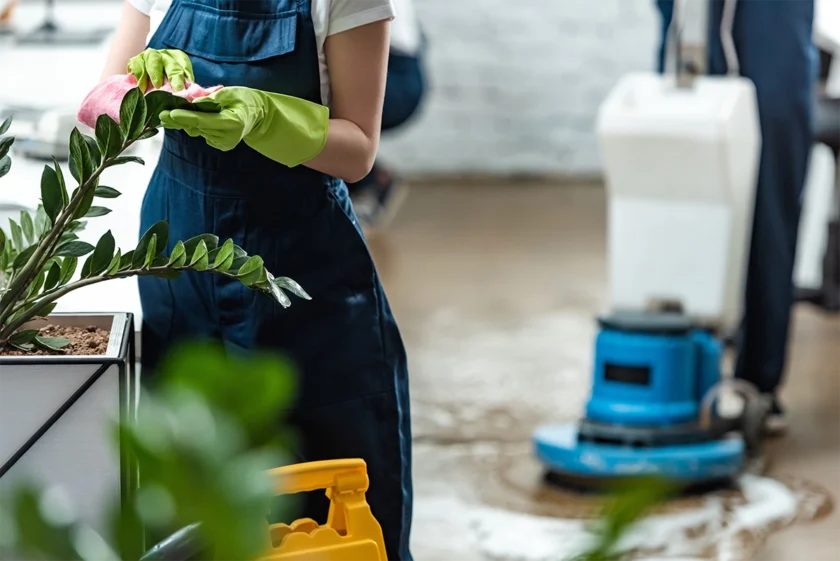 Eco-Friendly Plant Care and Home Cleaning Services Kingston Person in denim apron wearing bright green rubber gloves spraying eco-friendly cleaner on houseplant with professional cleaning equipment in background