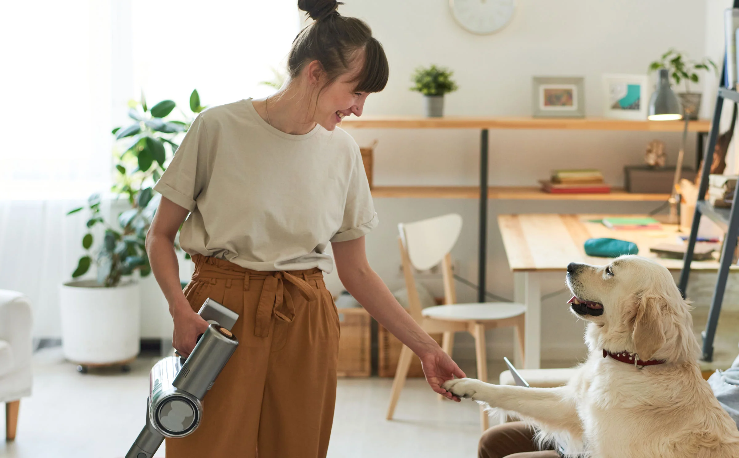 Smiling woman in casual clothing using handheld vacuum cleaner while golden retriever sits patiently nearby in bright modern home interior
